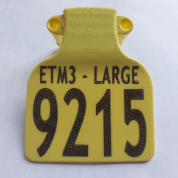 ETM3 - Large - Image 4