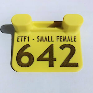 ETF1 Small - Year Marker
