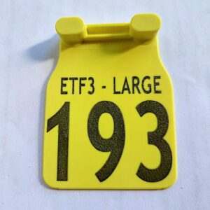 ETF3 Large
