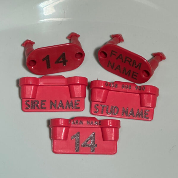 Combo 1 – Sheep Management Tag - Image 2
