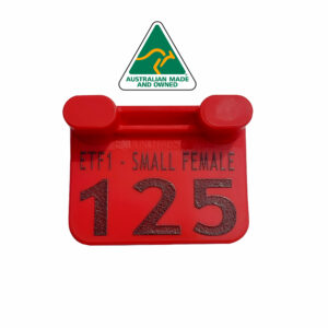 ETF1 Small - Year Marker